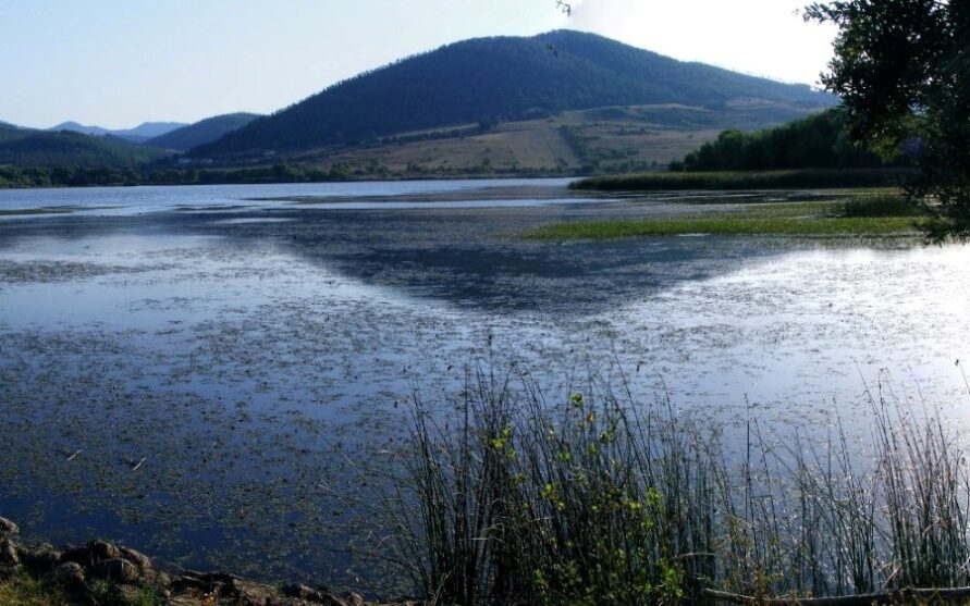 Oasi WWF Lago Pantano di Pignola (Potenza)